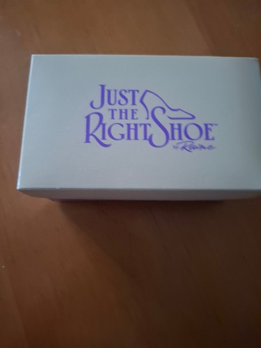 Just the right shoe raine - the,