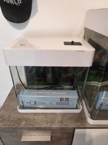 Design aquarium weiß - in,