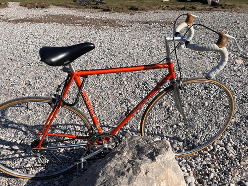 Vicini rennrad 70er - rennrad, rh