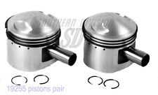 19255/040 Kolben Pistons with