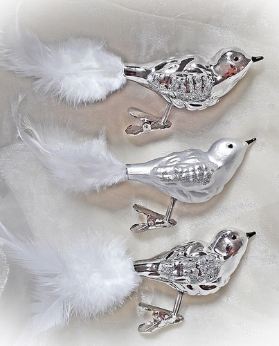 X glasvogel lauscha - ❀, 3