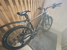 Bulls Copperhead 3 Rainbow