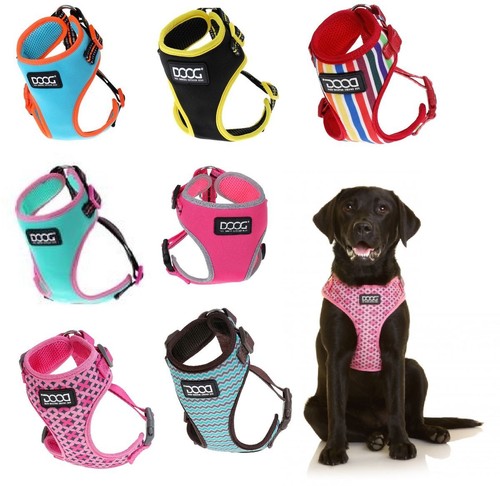 Doog neoflex harness geschirr - doog,