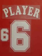 Set Flock Nummer number Trikot