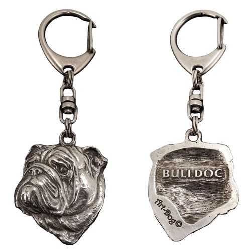 Englische bulldogge bulldog - englische, bulldogge,