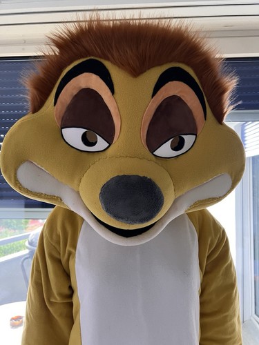 Mascot plüsch kostüm - kostüm, timon