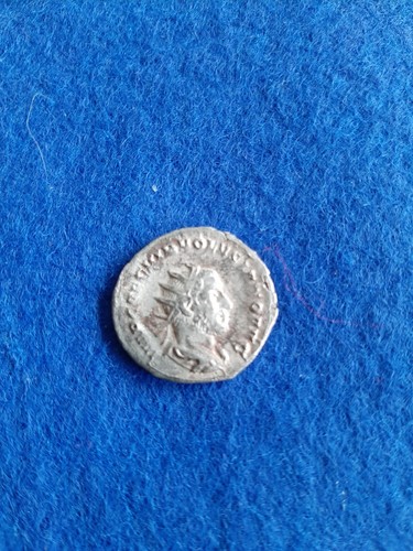 R365 rom volusianus - r365, rom.