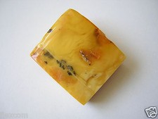 Butterscotch natur bernstein - butterscotch,