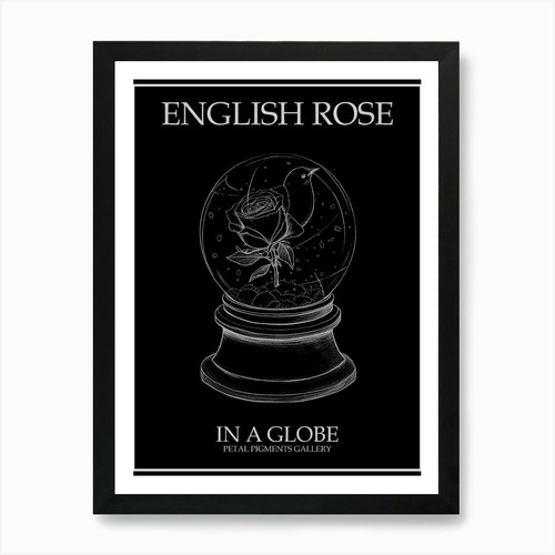 Englische rose globus - rose,