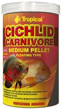 Tropical cichlid carnivore - cichlid,