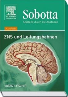 Spielend durch die anatomie - spielend,