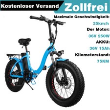 E-Bike Klapprad 20 Zoll 36V