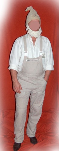 Fasching karneval kostüm - karneval,