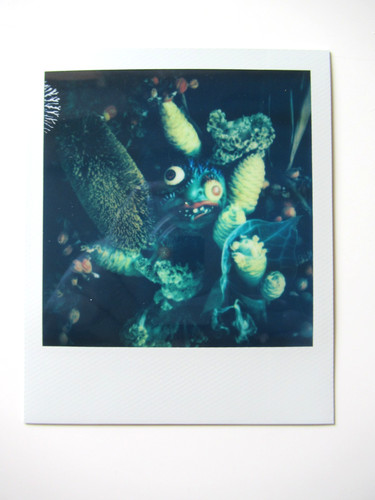 Araki original polaroid - original,