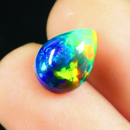 Birne schwarz opal - birne,