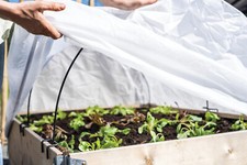 Rundbogen Folientunnel