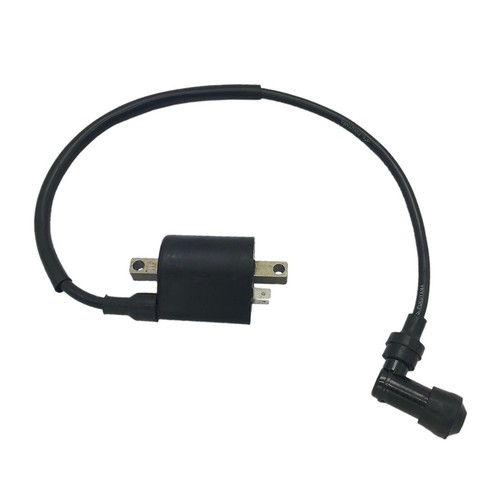Ignition coil for buyang - for,