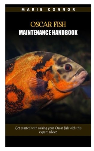 Oscar fish maintenance - oscar,