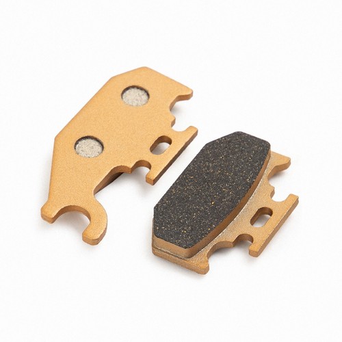 Bremsbeläge hinten für