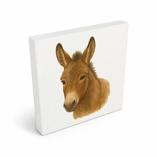 Eselmomente Esel Porträt