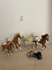 4 Grand Champions Horses +