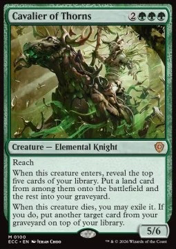 Magic mtg reiter der - reiter, dornen