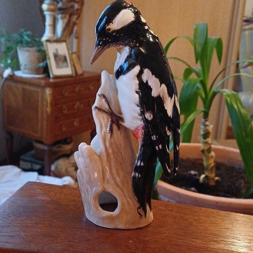 Alter goebel vogel specht - goebel,