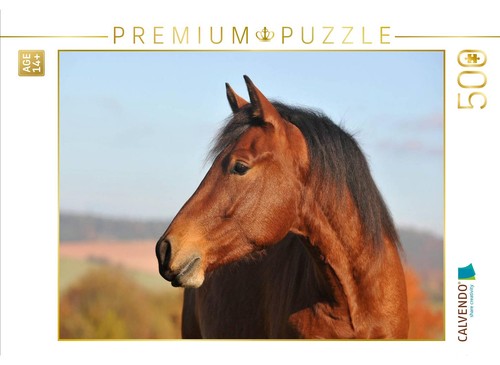 Calvendo puzzle pferd - puzzle,