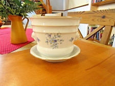 "Seltmann Weiden Blumenübertopf, Friesentopf, Löwenköpfe"