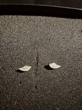 Silber Ohrringe Flügel