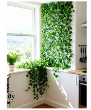 12 Stück Efeugirlande