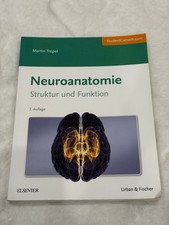 Neuroanatomie Struktur und