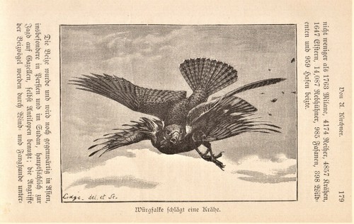 Kirchner die jagd mit dem - mit,
