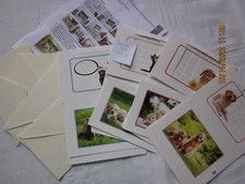 Set 1 - Zip / Wechsel /Schiebe