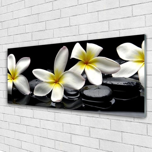 Glasbilder wandbild druck auf - glasbilder,