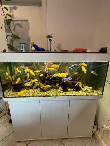 Aquarium mit unterschrank - mit,