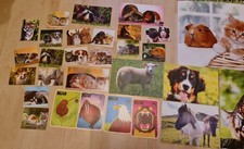 Tierbilder XXL  (über 40