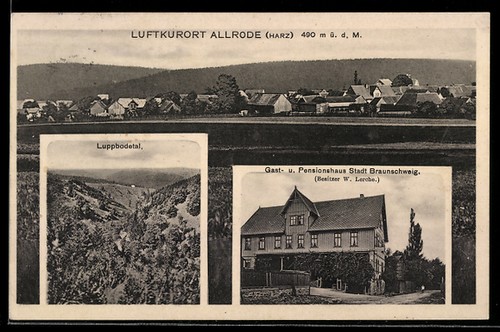 Allrode harz gasthaus - /, harz,
