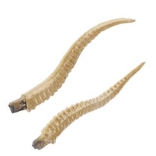 8 "Antilope Schaf Horn Wald Tier Widder Ausstellung Gothic Cosplay Requisiten