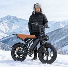 2026 Pedelec E-Bike 500W 20