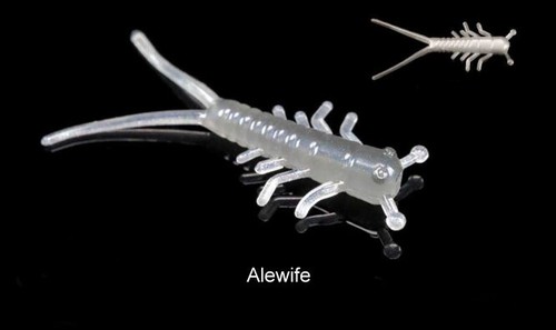 Lunker city hellgies - 1,5", (4