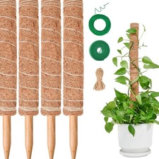Moosstab Monstera 40cm - Verlängerbar 4 Stück Pflanzenstütze Kletterhilfe