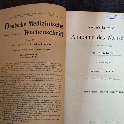 Georg thieme rauber kopsch - georg, rauber-kopsch