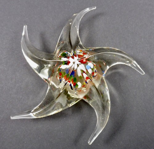 Seestern glas kunst - glas,