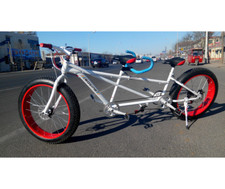 Lanying Zwei Sitzer Fat Reifen