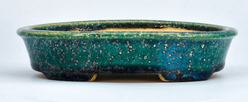 Bonsaischale koyo tokoname - bonsaischale,