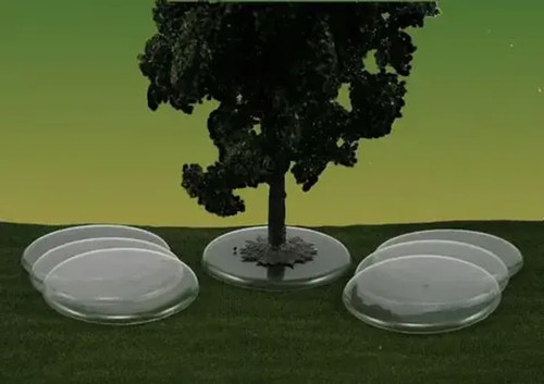 Baumbases transparent - baumbases,,