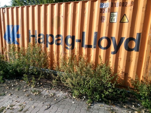 übersee container orange 6m - ,