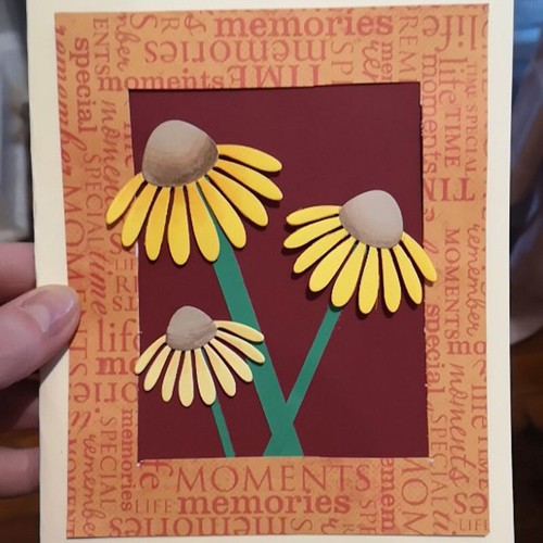Gänseblümchen stanzformen - gänseblümchen,