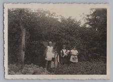 Girl as Butterfly, Boy as